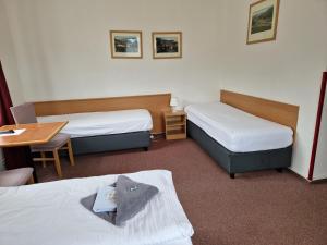 Katil atau katil-katil dalam bilik di Hotel Harrachov Inn