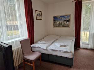 Katil atau katil-katil dalam bilik di Hotel Harrachov Inn