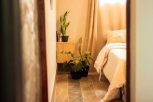 Ένα ή περισσότερα κρεβάτια σε δωμάτιο στο Vía Láctea