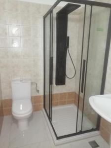 a bathroom with a shower with a toilet and a sink at Rodavgi in Kato Loutraki +15 photos