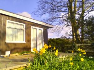 a house with yellow flowers in front of it at Sea Moss Cabin in Tywyn