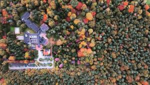 an overhead view of a house in the forest at Hotel De Werelt Garderen in Garderen
