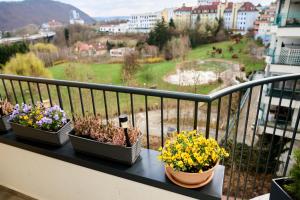 three potted flowers on a balcony with a view of a park at Apartman A&M in Banská Bystrica
