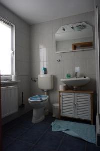 a bathroom with a toilet and a sink at Ferienhaus Müritz - Brockmann in Warenshof