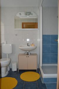 a bathroom with a sink and a toilet and a shower at Ferienhaus Müritz - Brockmann in Warenshof