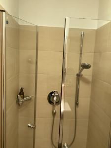 a shower with a glass door in a bathroom at Gartenapartment Marilyn in Retz