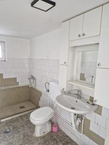 uma casa de banho com um WC e um lavatório em Ethno guesthouse Tara em Mojkovac