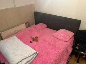 ミュルハイム・アン・デア・ルールにあるCHEAP SHARED LIVING & BEDROOM IN MULHEIM GERMANYのピンクの毛布と蝶が敷かれたベッド