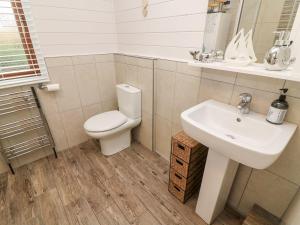 a bathroom with a toilet and a sink at Tree View Lodge in Windermere +14 photos