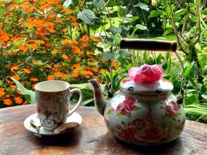 a tea pot and a cup on a table at Finca Neblina del Bosque in Estelí