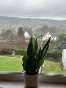 una pianta in vaso seduta davanti a una finestra di 2 Zimmer Wohnung mit Garten und Terrasse a Bad Hersfeld