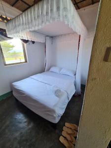 Mbarara的住宿－Rwekishokye Country Club，一张位于带天蓬的小房间的床