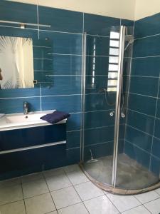 uma casa de banho azul com um chuveiro e um lavatório em Superbe Villa de vacances aux Trois ilets em Les Trois-Îlets