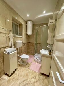 Koupelna v ubytování Belien Apartman