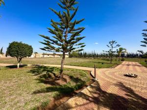 a pine tree in a park with a dirt road at Dar Armonia Ferme à Berrechid in Berrechid