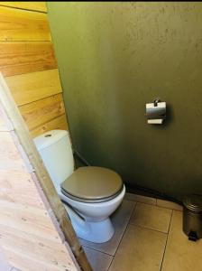 a bathroom with a toilet and a roll of toilet paper at Cabane in Olivese