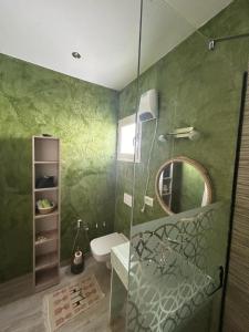 a green bathroom with a toilet and a mirror at Dar El Kahina Djerba in Mezraya