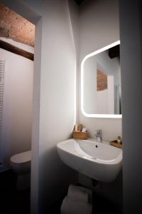 a bathroom with a sink and a mirror and a toilet at LA CASCINA DEL BALSAMICO in Gaggio