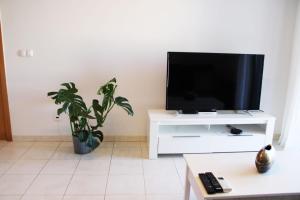 a living room with a television and a potted plant at Apartment with terrace Albufeira Olhos de Água in Albufeira