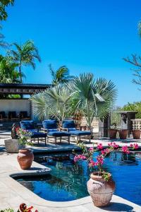 a swimming pool with potted plants and palm trees at Casa Libelula in Tamarindo