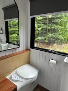 a bathroom with a toilet and a window at Mona Vale Country Estate in Hawarden