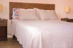 een slaapkamer met een wit bed en een houten hoofdeinde bij Tranquilo Departamento Frente al Parque O’Higgins in Santiago
