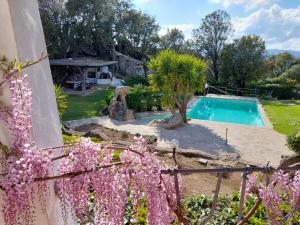 een villa met een zwembad in een tuin bij Sardinia Family Villas - Villa Gaia with private pool in the countryside in Sant Antonio Di Gallura