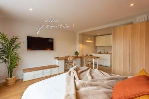 ein Wohnzimmer mit einem Bett und eine Küche in der Unterkunft Studio Delorme in Bagneux