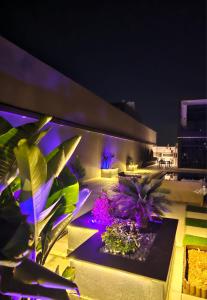 a garden with purple lights on a building at night at Elysee Villa in Al Rama