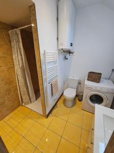 a small bathroom with a toilet and a shower at La petite bulle in Villeneuve-sur-Yonne