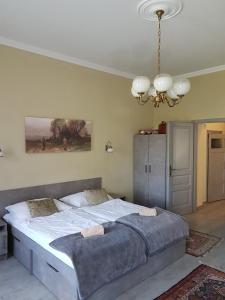 1 cama grande en un dormitorio con lámpara de araña en Kétbodonyi Apartments, en Kétbodony