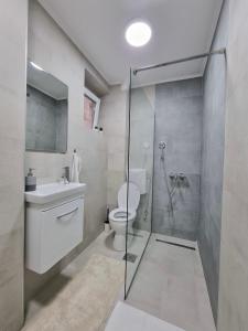 une salle de bain avec une douche, des toilettes et un lavabo dans l'établissement The Blue Velvet Apartment, à Belgrade 14 autres photos