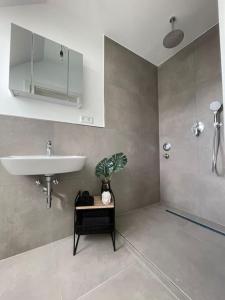 een badkamer met een wastafel en een douche bij Frühlingsfrische Wohnung in Mönchengladbach