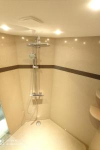 bagno con doccia e servizi igienici di Gite avec mezzanine le Clos des Sœurs a Bainville-aux-Saules
