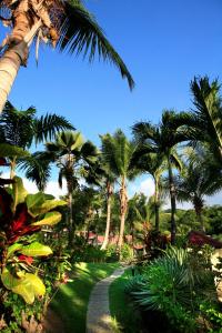 un jardin avec des palmiers et un sentier dans l'établissement Hotel - Résidence Habitation Grande Anse, à Deshaies