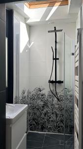 a bathroom with a shower with a glass door at Chalet basque 6 couchages centre ville Biarritz in Biarritz