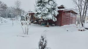 een blokhut in de sneeuw met een boom bij Vacation house near a creek in Zadar county/Lika in Gračac