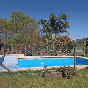 uma piscina num quintal com uma palmeira em los sauces em Suipacha