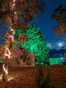Un árbol de Navidad se ilumina por la noche en Waira home, en Guarne