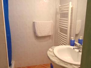 W łazience znajduje się umywalka i prysznic. w obiekcie Maison d'une chambre avec wifi a Belgodere w mieście Belgodère