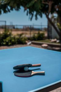 Tenis a/nebo squash v ubytování Oneiro Villa - Voted the best Villa in Rhodes, Greece! nebo okolí