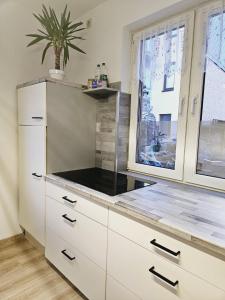 uma cozinha com armários brancos e um vaso de plantas em Lehn dich zurück em Mühlhausen