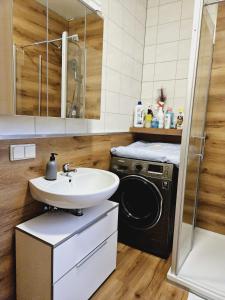 uma casa de banho com um lavatório e uma máquina de lavar roupa em Lehn dich zurück em Mühlhausen