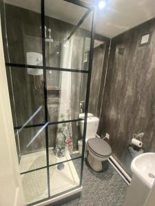 a bathroom with a shower with a toilet and a sink at Beautiful 3-Bed apartment in Merthyr Tydfil in Merthyr Tydfil