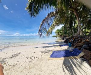 a towel on a beach with a palm tree at La Villa Boraha Location de villa entière en bord de plage Piscine privée Wifi Ile Sainte Marie in Sainte Marie
