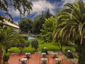 Um jardim no exterior de Grão Vasco - Historic Hotel and SPA