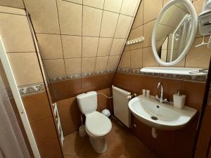 Un baño pequeño con inodoro y lavabo. en Willa Danuśka -Znana i Lubiana, en Zakopane 91 fotos más