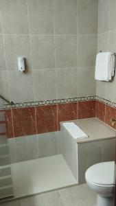 a bathroom with a toilet and a shower stall at Hotel Castro in Santiago de Compostela