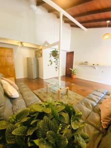- un salon avec un canapé et une table dans l'établissement AmimodoBeachRooms, à Puerto Viejo