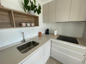 A kitchen or kitchenette at Apartamentos Montejurra